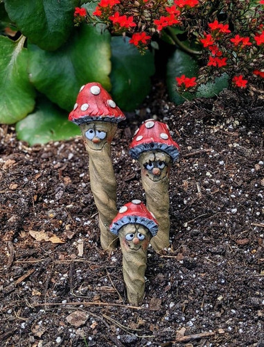 24805B0D AB85 48A4 B084 52E4AB7F4932.jpg