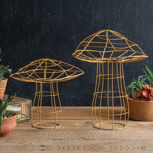 85CEC3C1 5419 40B4 BF9F 7415E0EAA84E.jpg