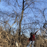 3DED33CC DDD7 4A01 99E7 CD75F61893D9.jpg