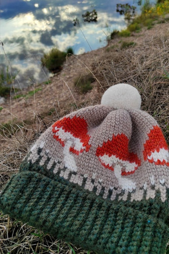 D9E687BE 5C3E 4BD0 A6E2 4B0F2DFB4FA8.jpg