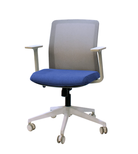 Dex blanca admiral.png