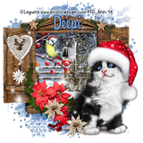 4 Deepi Laguna Cat Bird2019b Anni