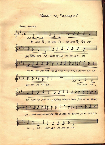 Velko Petrushev 5.jpg