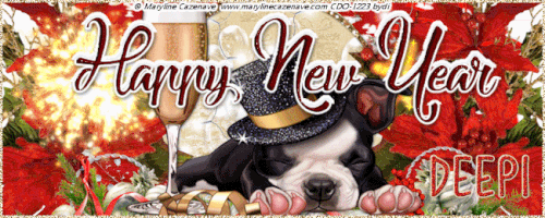 NYE Bannerdeepi