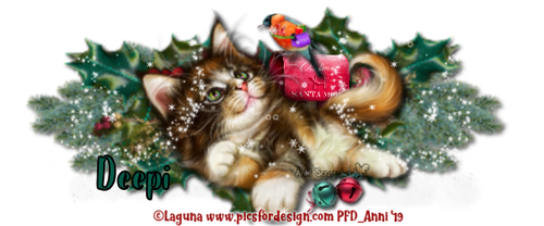 4 Deepi Laguna Cat Mail Set Ban2019b Anni