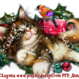 4 Deepi Laguna Cat Mail Set Ban2019b Anni
