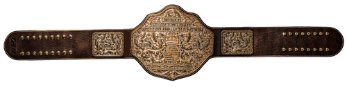 44 0 World Belt 44 (1).png