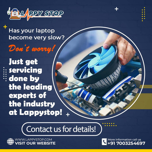 Lappystop Banner 8 (1).jpg