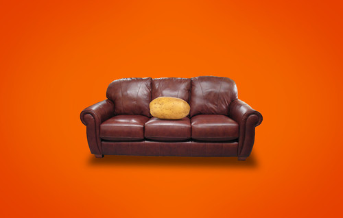 Couch Potato.jpg