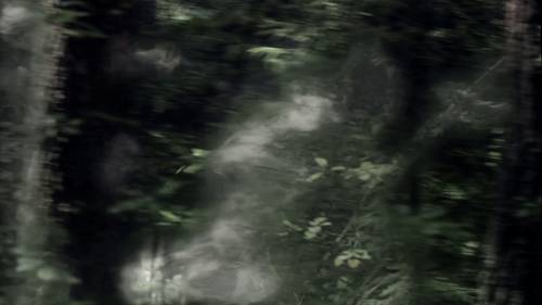 2f2104186eec.png