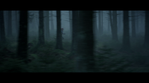 387114cc76f6.png