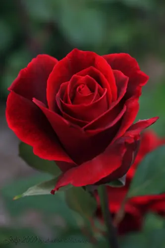 bc6v6Y2b31lRTgcBiDEs2pqG3dqlX7yf4EgNC80z3yUCLgzENgKz2OLScST04s8NpkloKGnJa0dbRyODDtW2 r g.webp