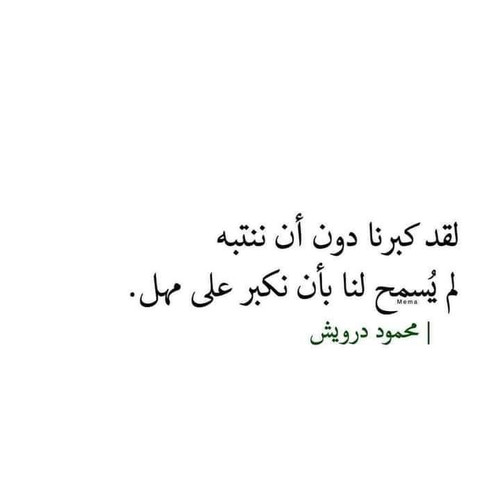 FB IMG 1670773846228.jpg