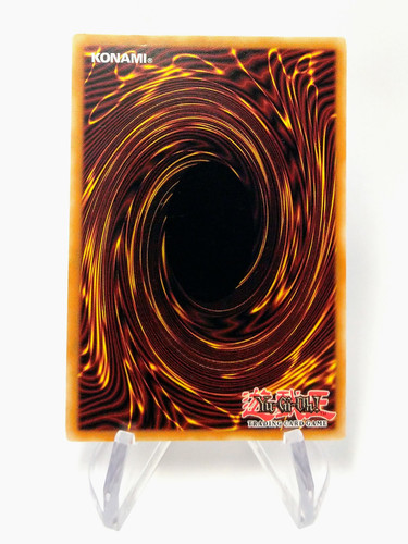 IMG 20230218 112411084.jpg