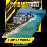 florida mis.gif