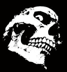 skull ref.jpg
