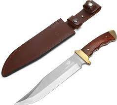 Bowwie knife pic.jpg
