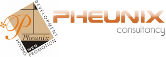 ERP Software Development Company in India.png