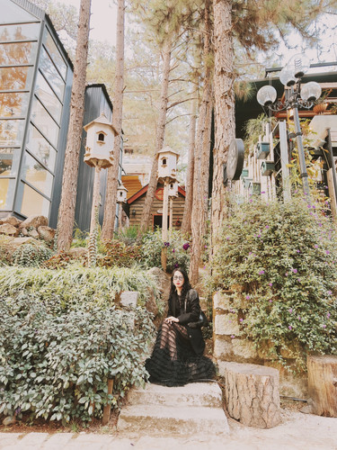 z4117073171687 f930850210160d85c7315c68f8d5b327.jpg