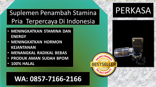 perkasa6 (5).jpg
