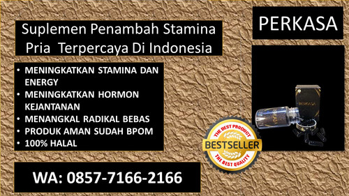 perkasa6 (2).jpg