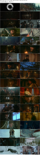 McCabe.&.Mrs.Miller.1971.CC.BluRay.1080p.DTS HD.MA1.0.x265.10bit BeiTai preview.jpg