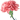 carnation pink.webp