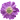 flower.webp