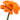 orange flower.webp