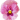 flower 5.webp