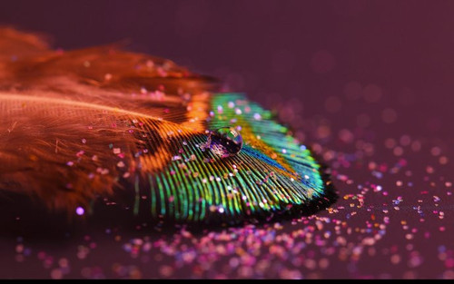 6853 Beautiful water drop on a painted leaf macro HD wallpaper.jpg