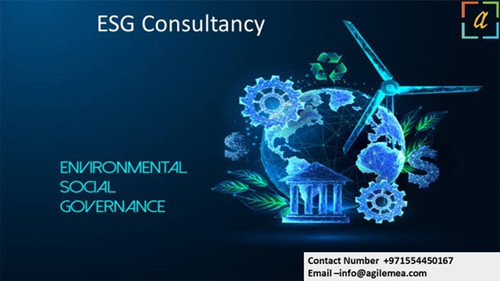 ESG Consultancy 3.jpg