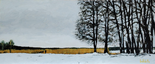 IMG 20230204 114657861.jpg