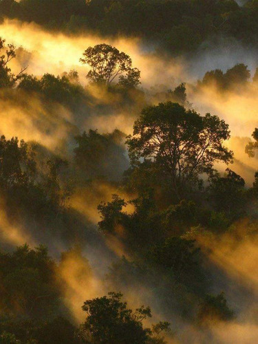 FB IMG 1676655327716.jpg