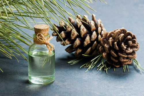 Global Pine Chemicals Market Outlook.jpg