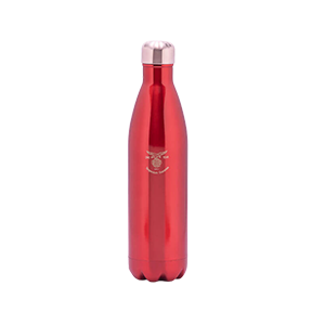 Top Wholesale Stainless Steel Vacuum Bottle Supplier: Eagle Consumer.png