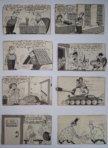 P 20230220 095517 1.jpg