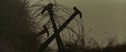 wall5.jpg