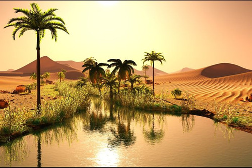 Desert safari.jpg