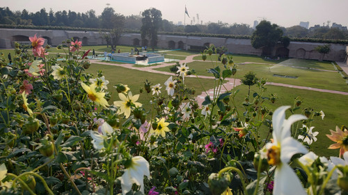 IMG 20230210 161746790 HDR.jpg