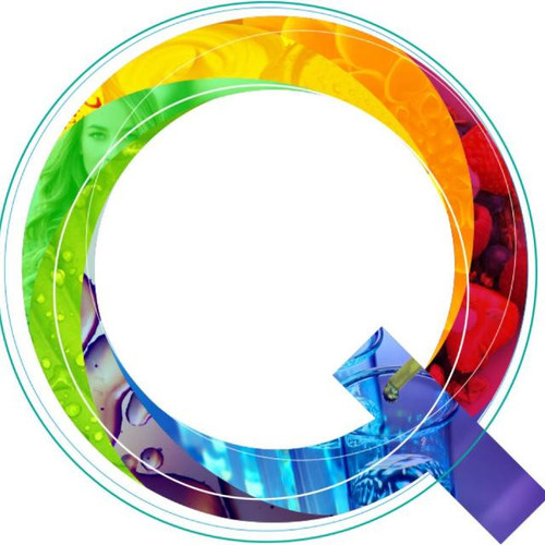 Q Logo.jpg