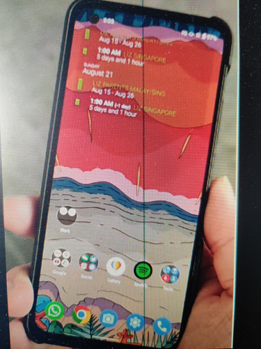 1676554166649.jpg