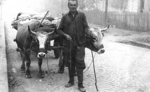 757z468 Guca dragacevski rabadzija Milos Gavrilovic (1).jpg