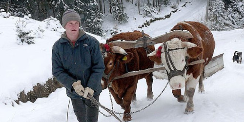 slobodan lecic 811414 7297.jpg