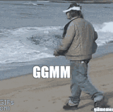 meme.gif