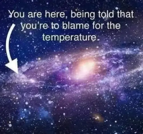 img 1 1676639691880.webp