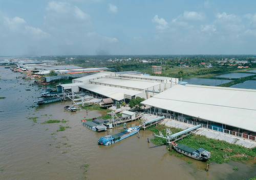 1991 CÔNG TY TNHH LƯƠNG THỰC TẤN VƯƠNG.jpg