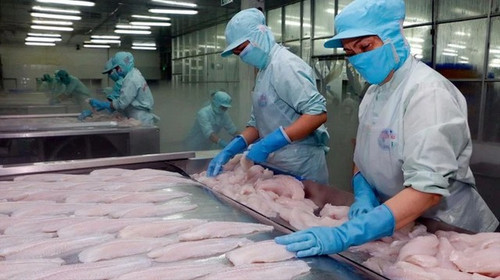 1994 CÔNG TY TNHH CHẾ BIẾN THỦY SẢN XUẤT KHẨU THẢO NGUYÊN (2).jpg