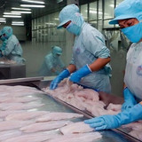 1994 CÔNG TY TNHH CHẾ BIẾN THỦY SẢN XUẤT KHẨU THẢO NGUYÊN (2)