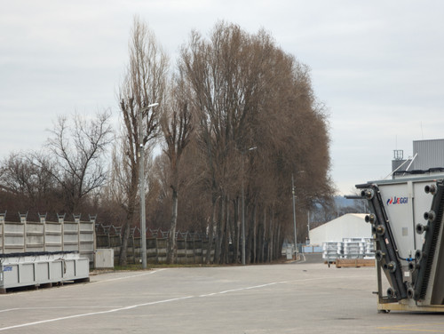 PXL 20230222 082514509.jpg